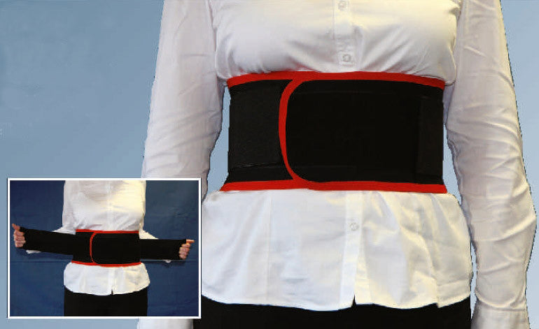 Harley Universal Back Support