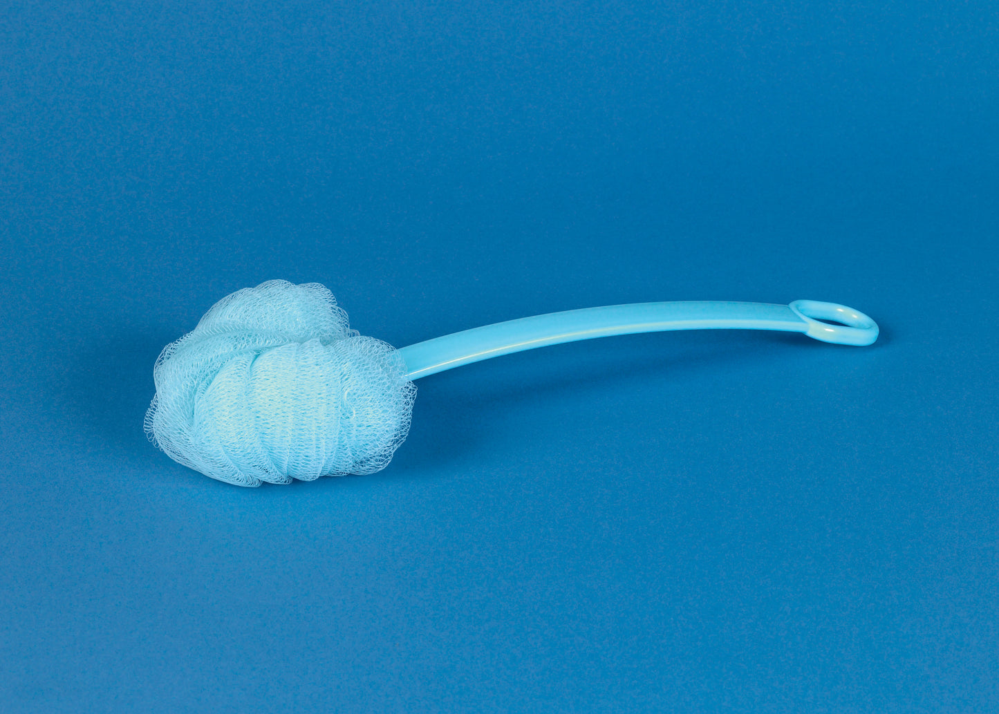 Long Handled Net Sponge